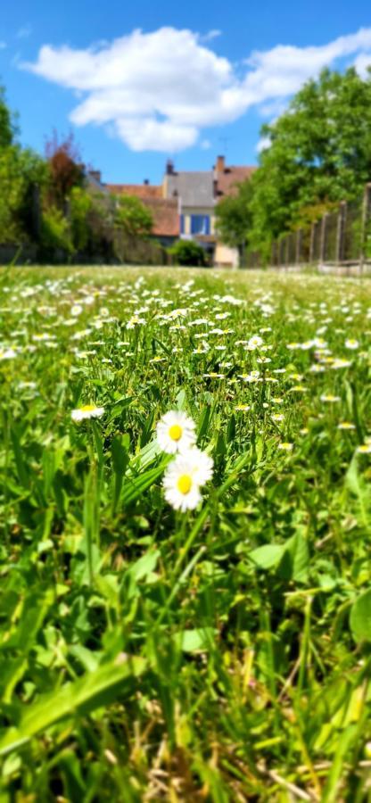 Le Gite Du Nohain Entrains-sur-Nohain Zewnętrze zdjęcie